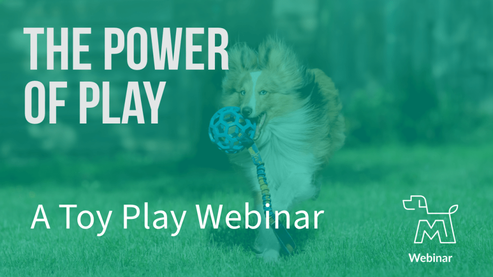 Image for the product the power of play course