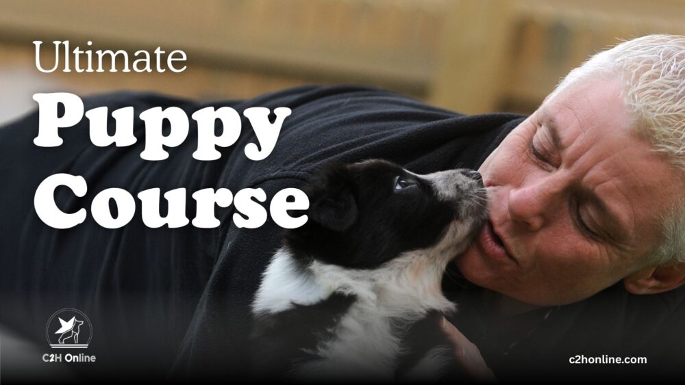 Ultimate Puppy Course Thumbnail 1 - Online dog training