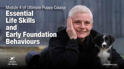 Essential Life Skills and Early Foundation Behaviours