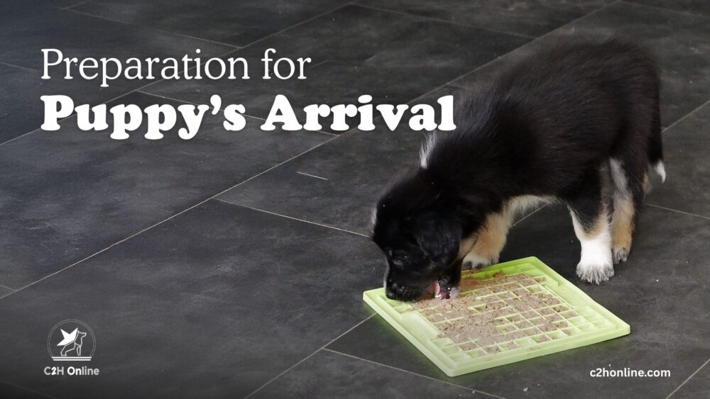 Preparation for Puppys Arrival Course Thumbnail - Online dog training