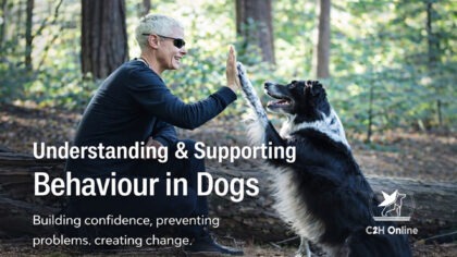 Understanding & Supporting Behaviour in Dogs